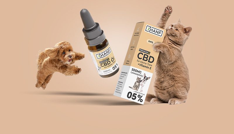 CBD für Tiere